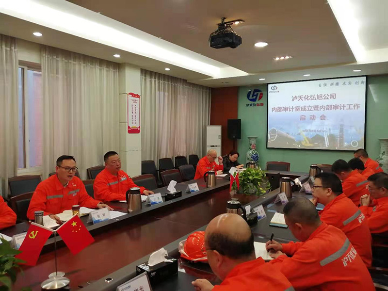 弘旭公司召開內(nèi)部審計(jì)工作啟動會(圖3)